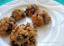 Cranberry and Chocolate Chip Granola Cookies (Gluten free)