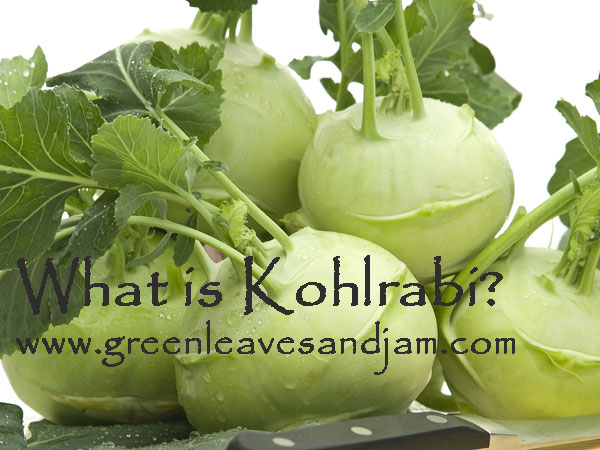 what is kohlrabi?