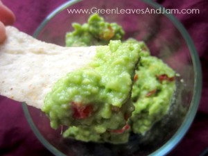 Simple Guacamole2