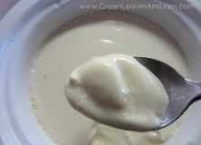 The Easiest Crock Pot Homemade Yogurt (Vegan / Plant-Based)